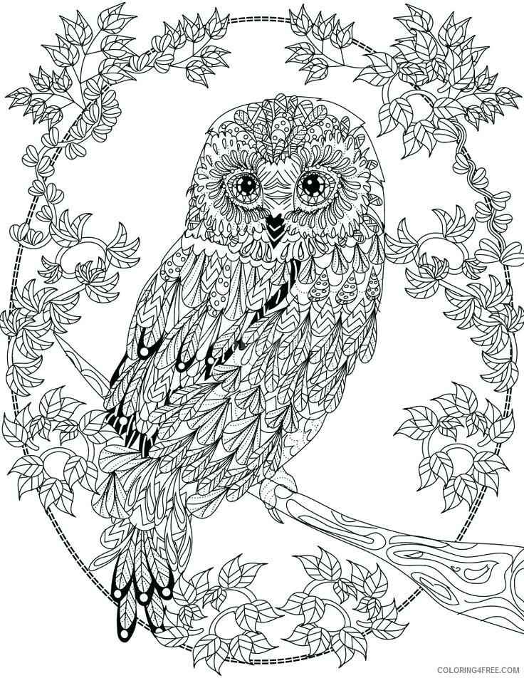 Owl Coloring Pages Animal Printable Sheets Owl Animal Mandala 2021 3640 Coloring4free
