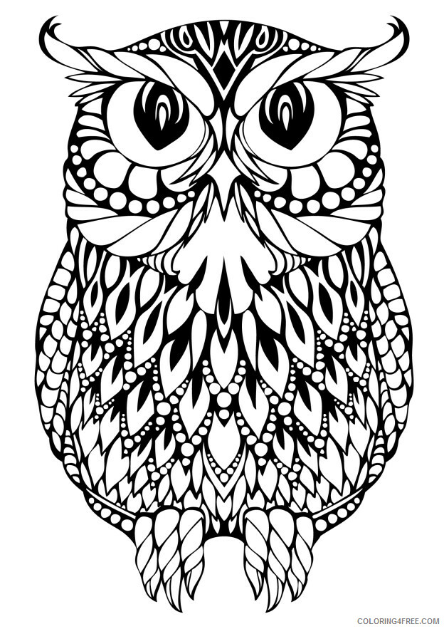 Owl Coloring Pages Animal Printable Sheets Owl Free 2021 3641 Coloring4free