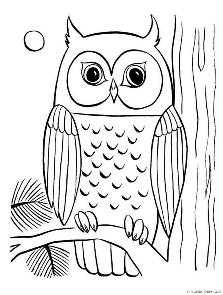 Owl Coloring Pages Animal Printable Sheets animals owl 10 2021 3608 Coloring4free