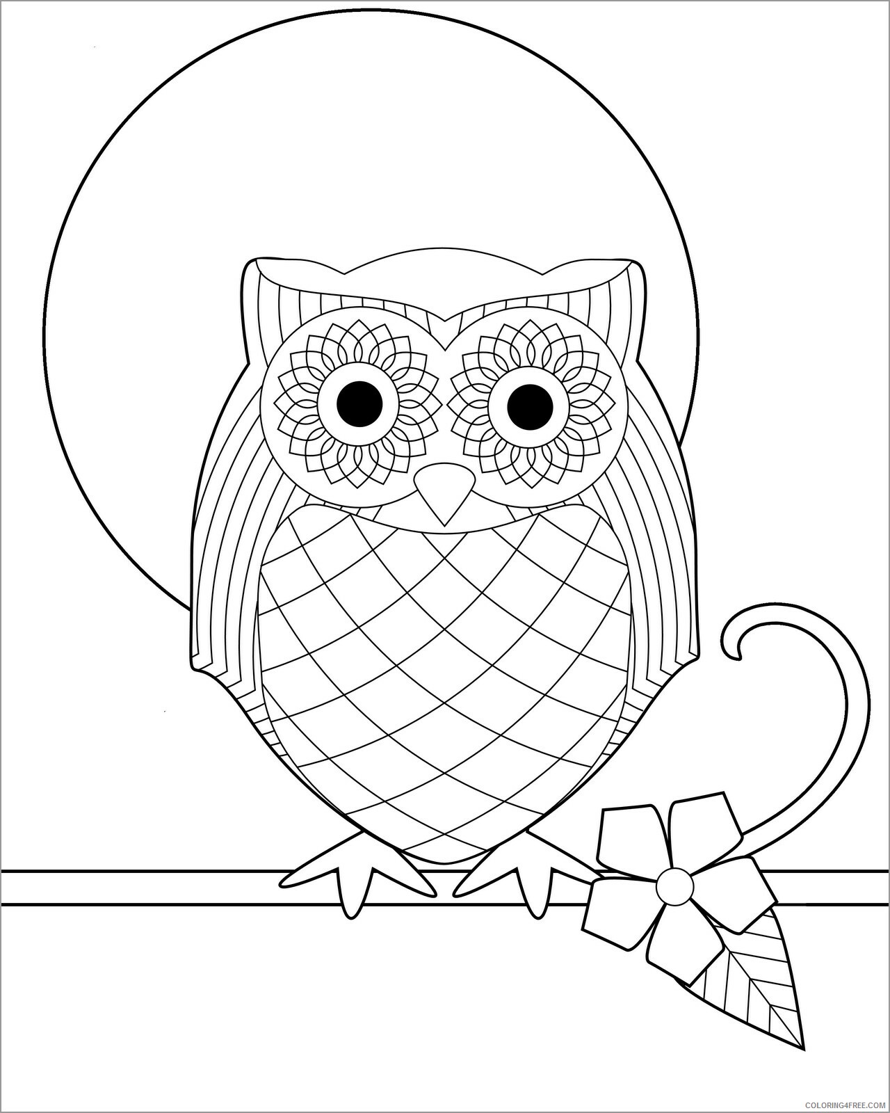 Owl Coloring Pages Animal Printable Sheets easy cartoon owl 2021 3624 Coloring4free