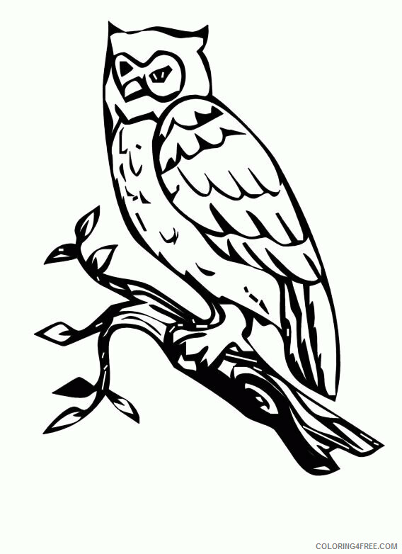 Owl Coloring Pages Animal Printable Sheets owl 2 2021 3639 Coloring4free