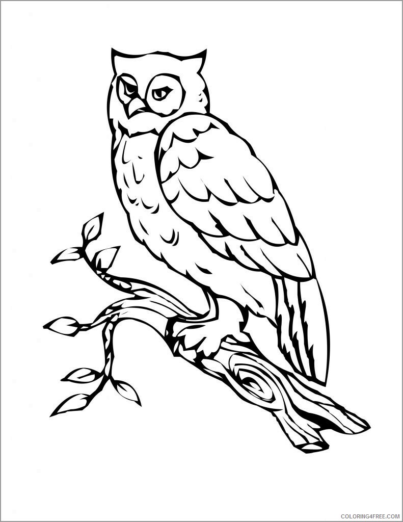 Owl Coloring Pages Animal Printable Sheets owl for toddlers 2021 3646 Coloring4free