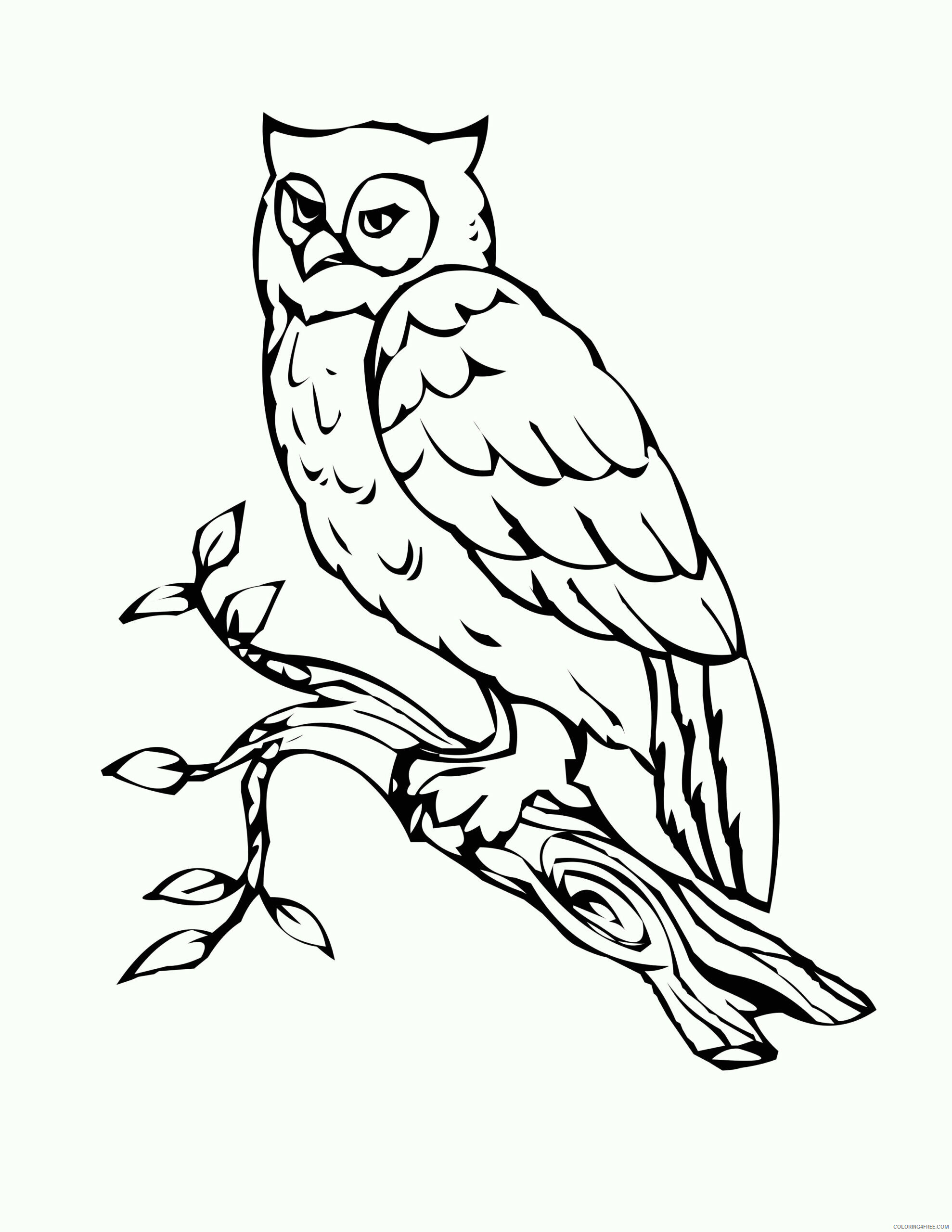 Owl Coloring Sheets Animal Coloring Pages Printable 2021 3019 Coloring4free