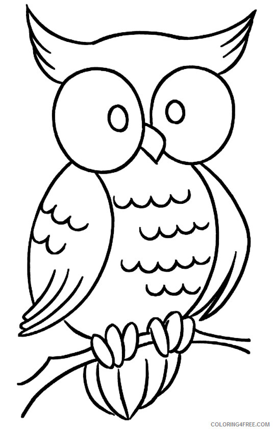 Owl Coloring Sheets Animal Coloring Pages Printable 2021 3028 Coloring4free