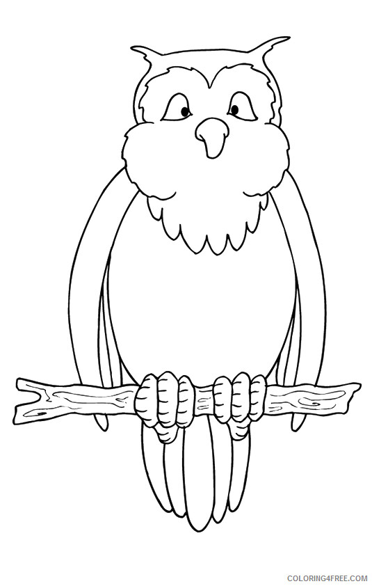 Owl Coloring Sheets Animal Coloring Pages Printable 2021 3040 Coloring4free