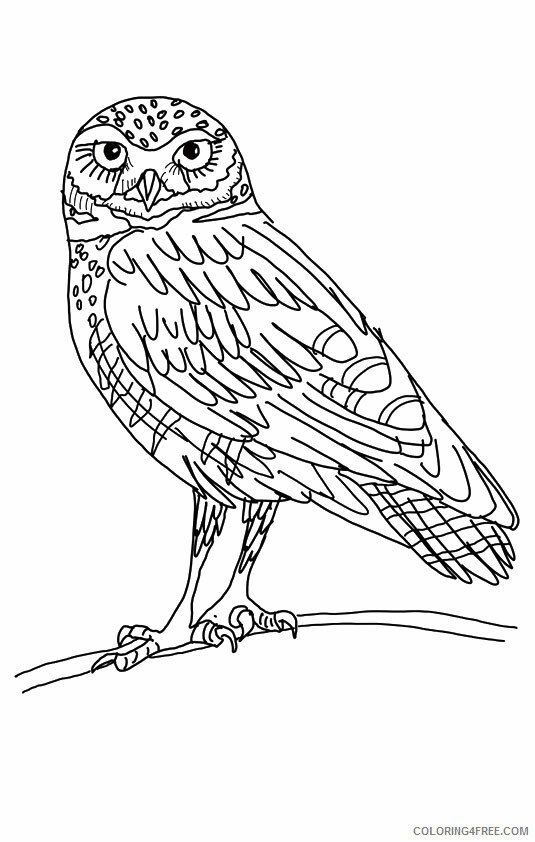 Owl Coloring Sheets Animal Coloring Pages Printable 2021 3043 Coloring4free