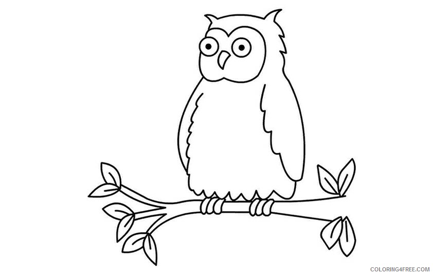 Owl Coloring Sheets Animal Coloring Pages Printable 2021 3044 Coloring4free