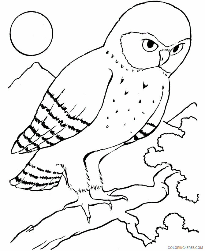 Owl Coloring Sheets Animal Coloring Pages Printable 2021 3063 Coloring4free