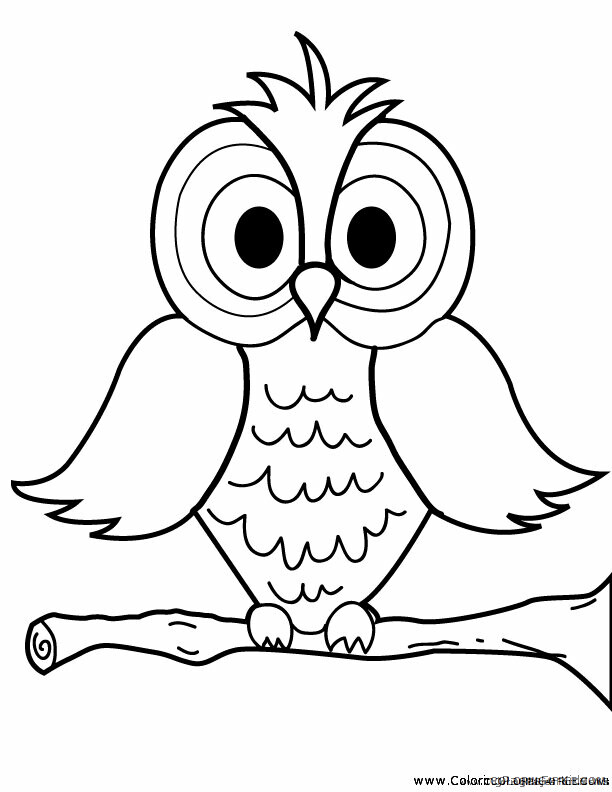 Owl Coloring Sheets Animal Coloring Pages Printable 2021 3075 Coloring4free