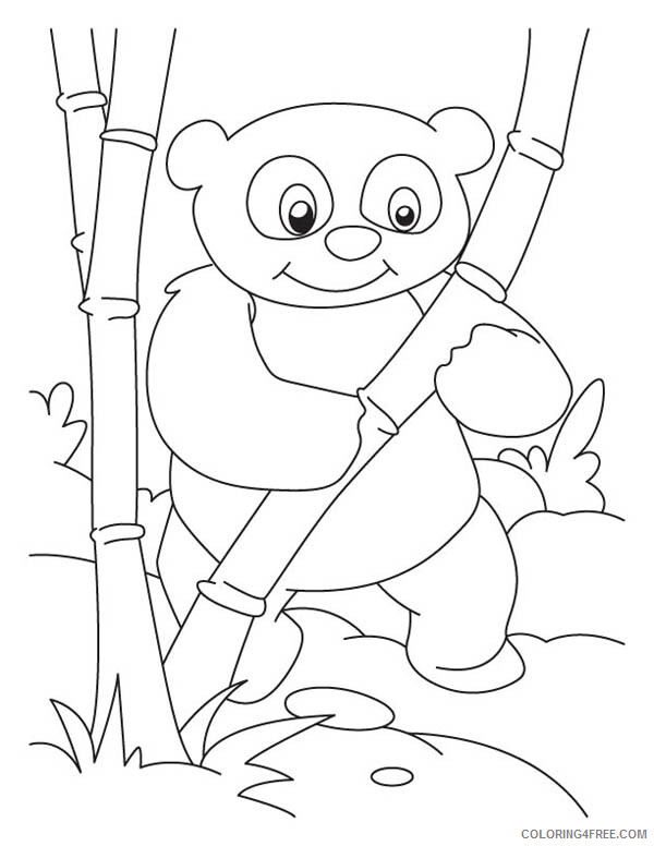 Panda Coloring Pages Animal Printable Sheets Panda Found Bamboo to Eat 2021 3689 Coloring4free