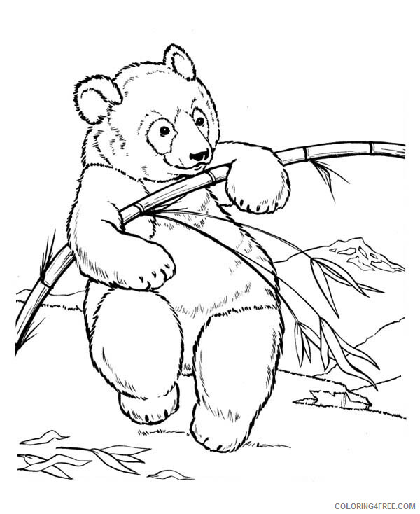 Panda Coloring Pages Animal Printable Sheets Panda Try to Fracture Bamboo 2021 Coloring4free