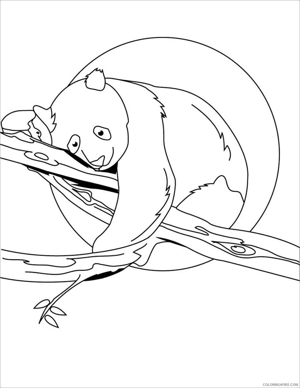 Panda Coloring Pages Animal Printable Sheets panda lives on trees 2021 3693 Coloring4free