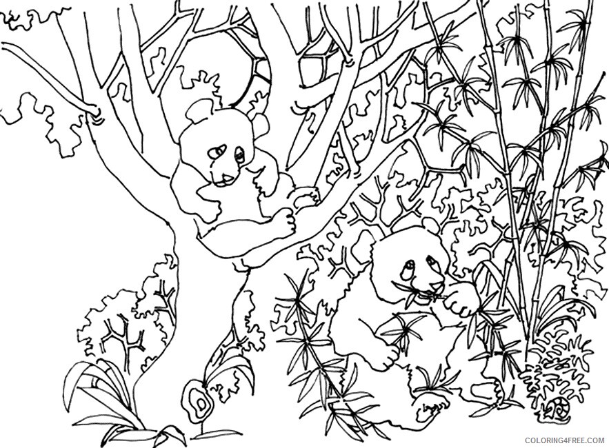 Panda Coloring Sheets Animal Coloring Pages Printable 2021 3113 Coloring4free