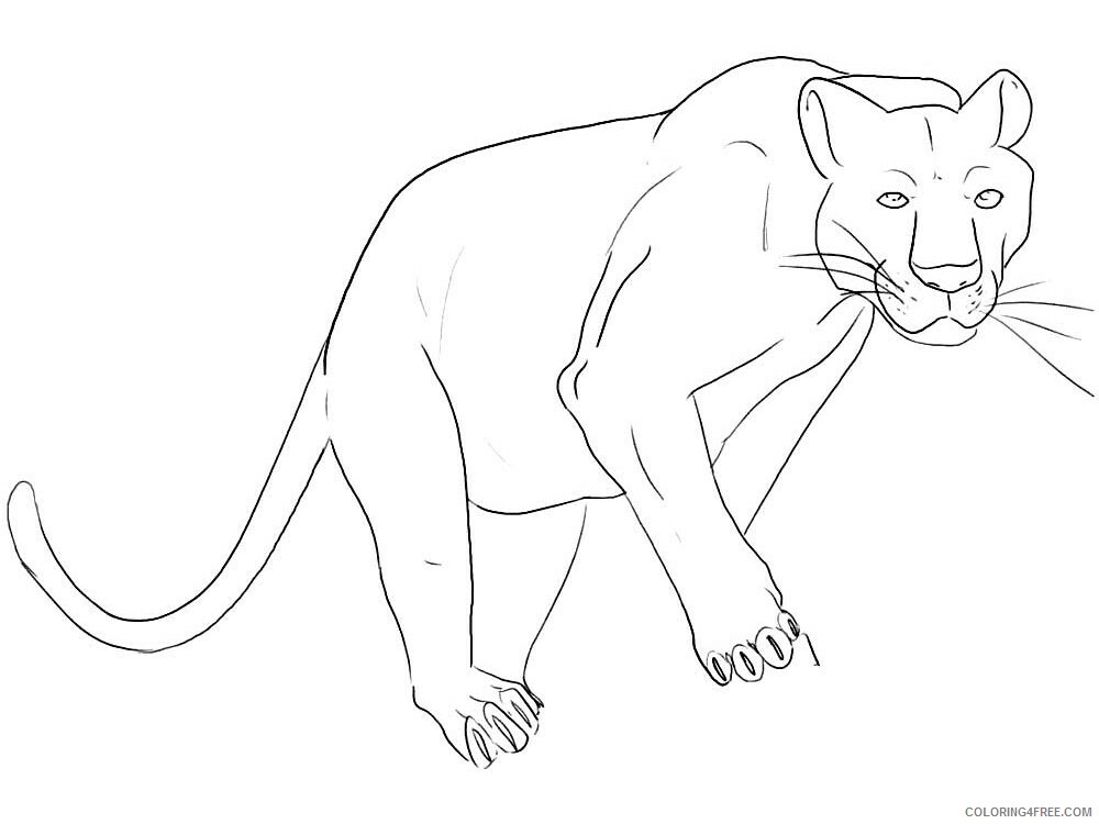 Panther Coloring Pages Animal Printable Sheets panther 7 2021 3709 Coloring4free