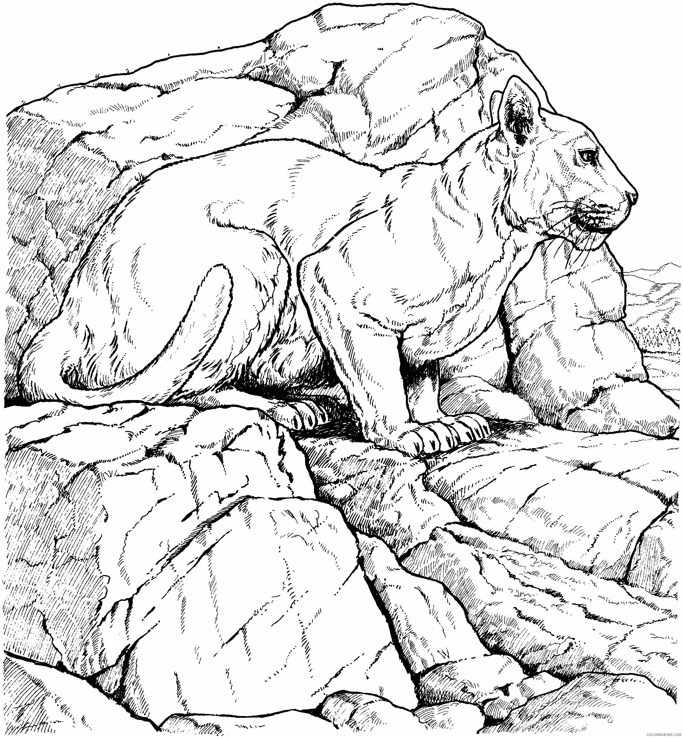 Panther Coloring Sheets Animal Coloring Pages Printable 2021 3121 Coloring4free