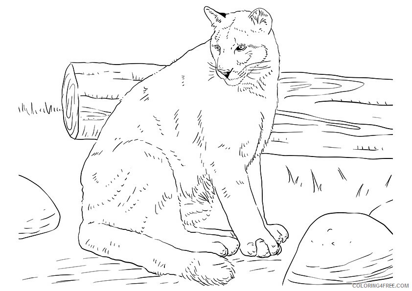 Panther Coloring Sheets Animal Coloring Pages Printable 2021 3124 Coloring4free