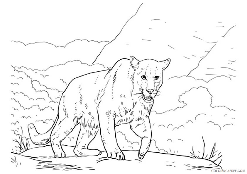 Panther Coloring Sheets Animal Coloring Pages Printable 2021 3125 Coloring4free