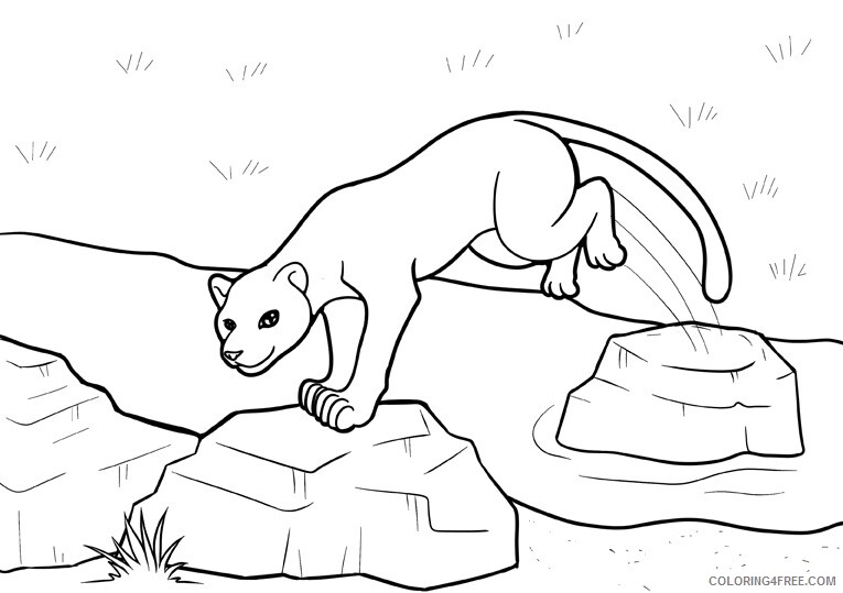 Panther Coloring Sheets Animal Coloring Pages Printable 2021 3141 Coloring4free