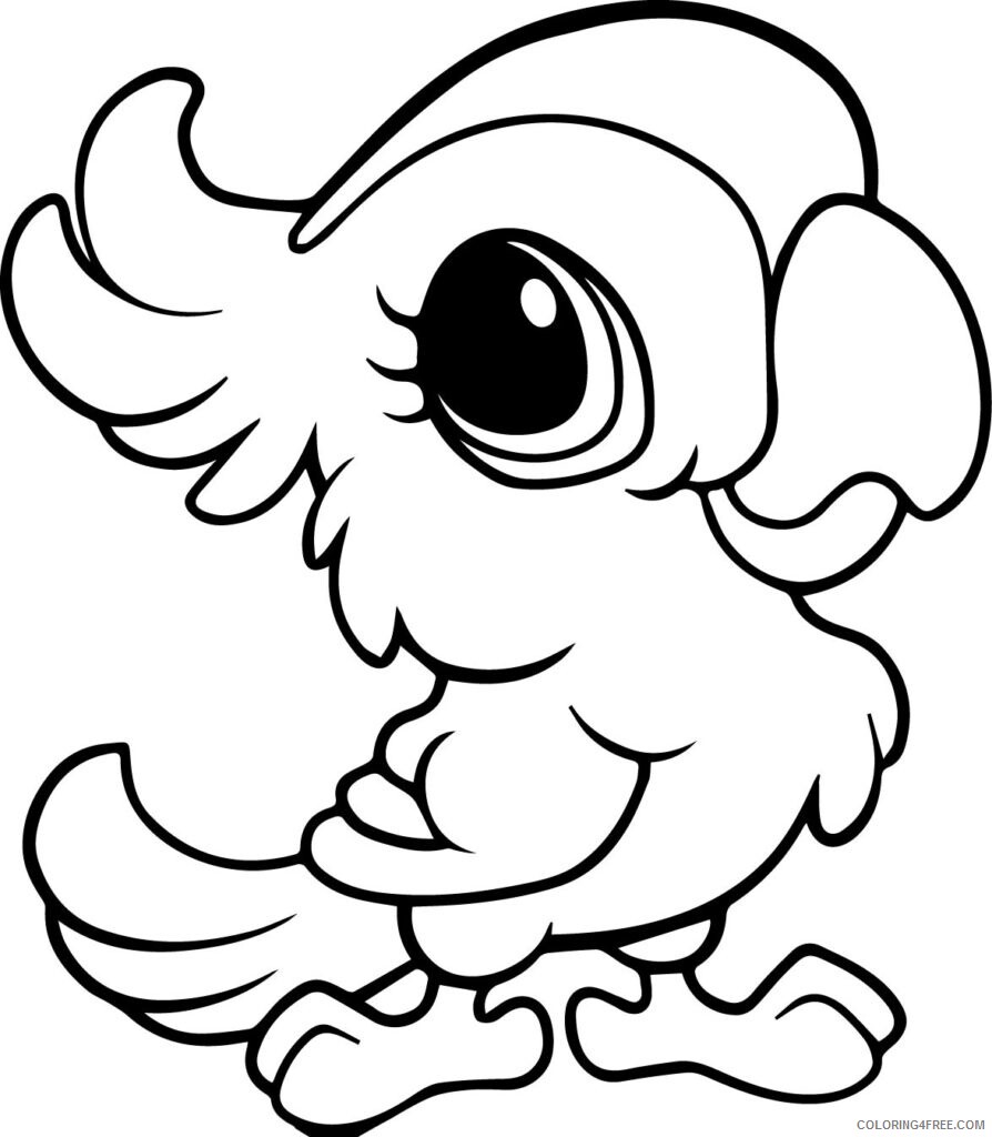 Parrot Coloring Pages Animal Printable Sheets Cute Baby Parrot 2021 3718 Coloring4free
