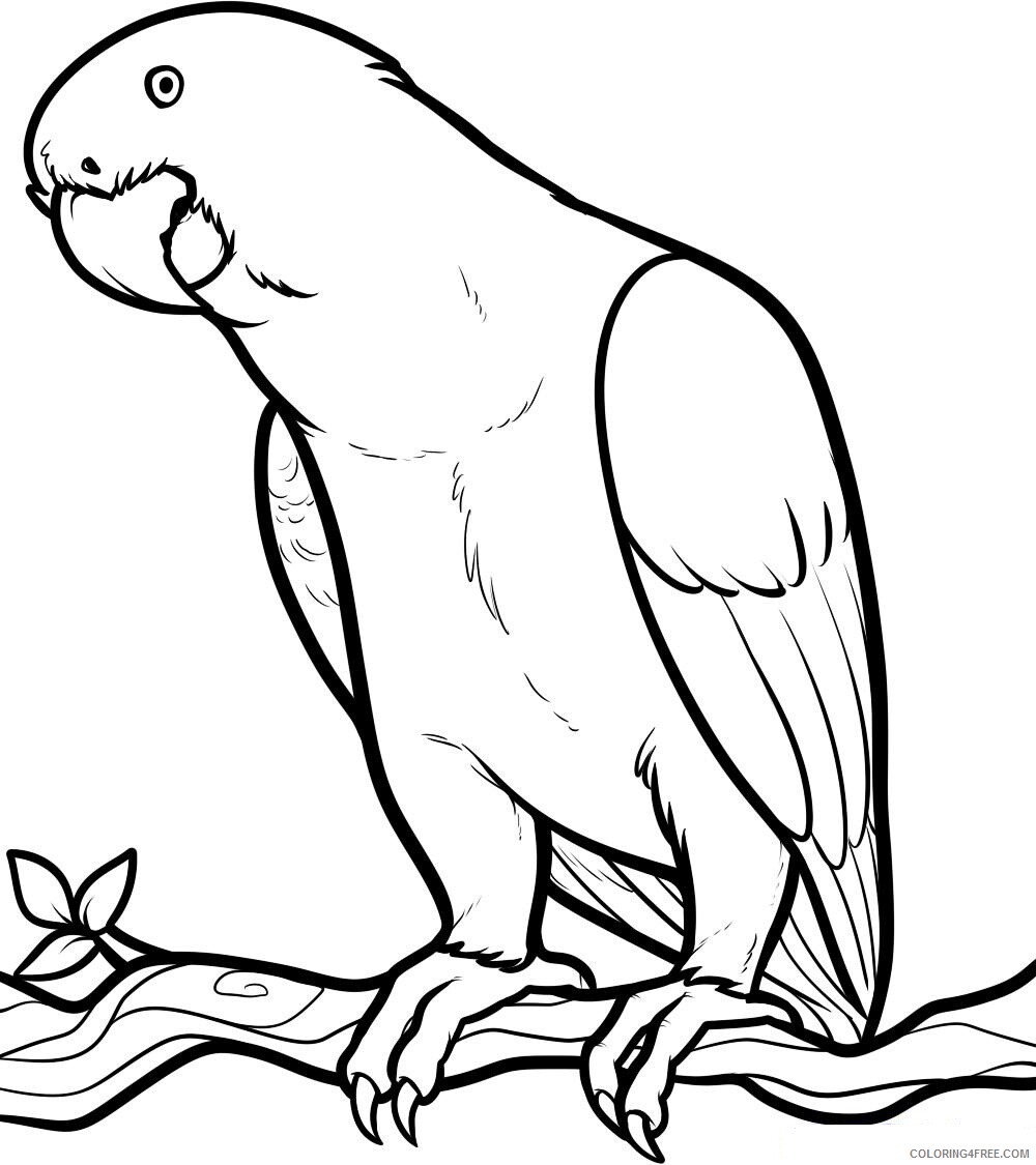 Parrot Coloring Pages Animal Printable Sheets Cute Parrot 2021 3721 Coloring4free