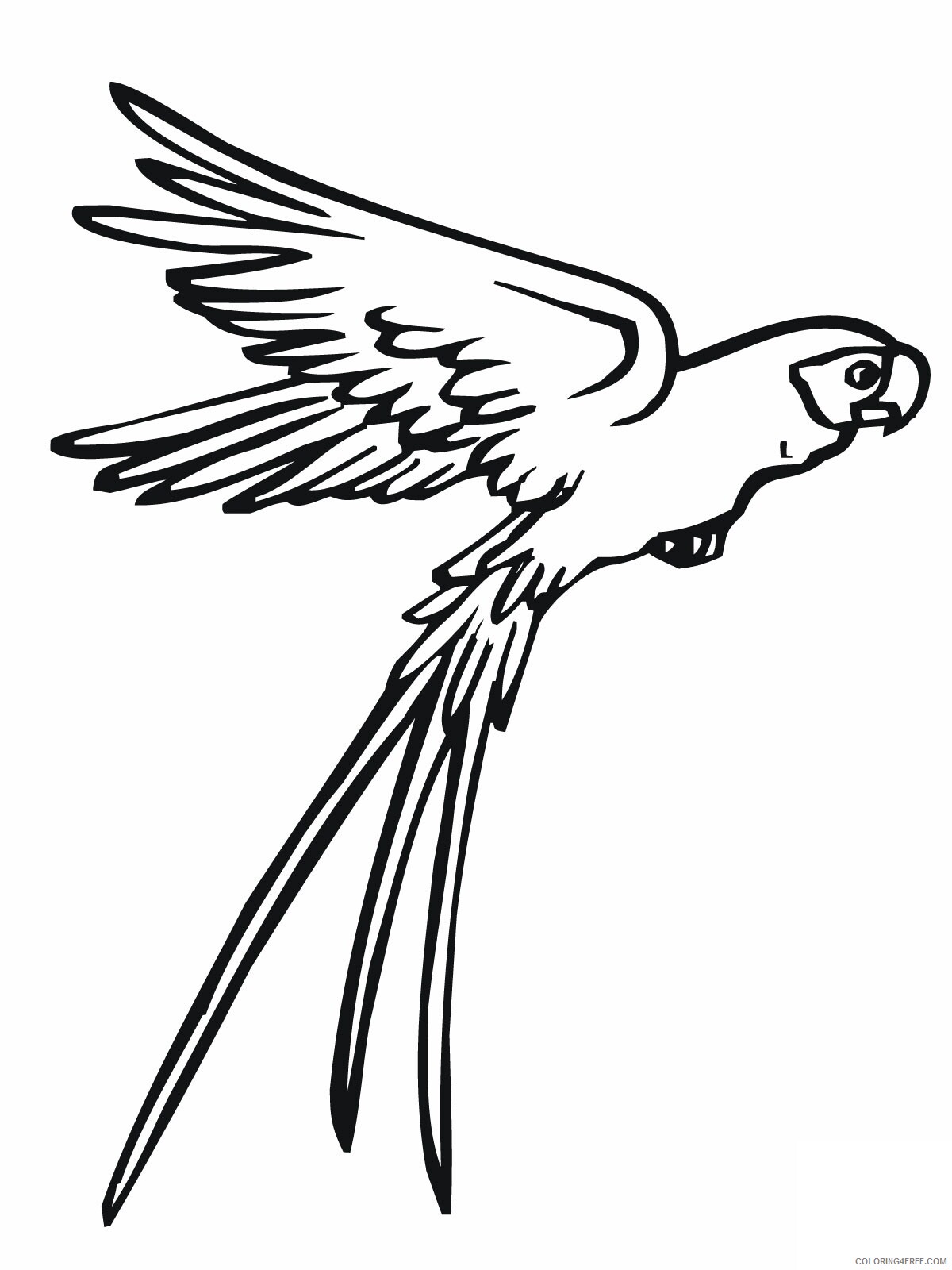Parrot Coloring Pages Animal Printable Sheets Flying Parrot 2021 3722 Coloring4free