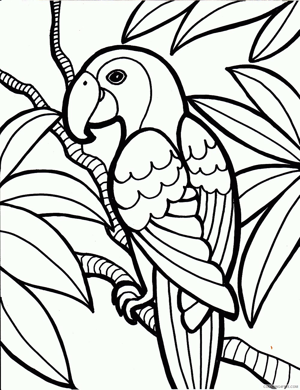 Parrot Coloring Pages Animal Printable Sheets Parrot Birds 2021 3726 Coloring4free