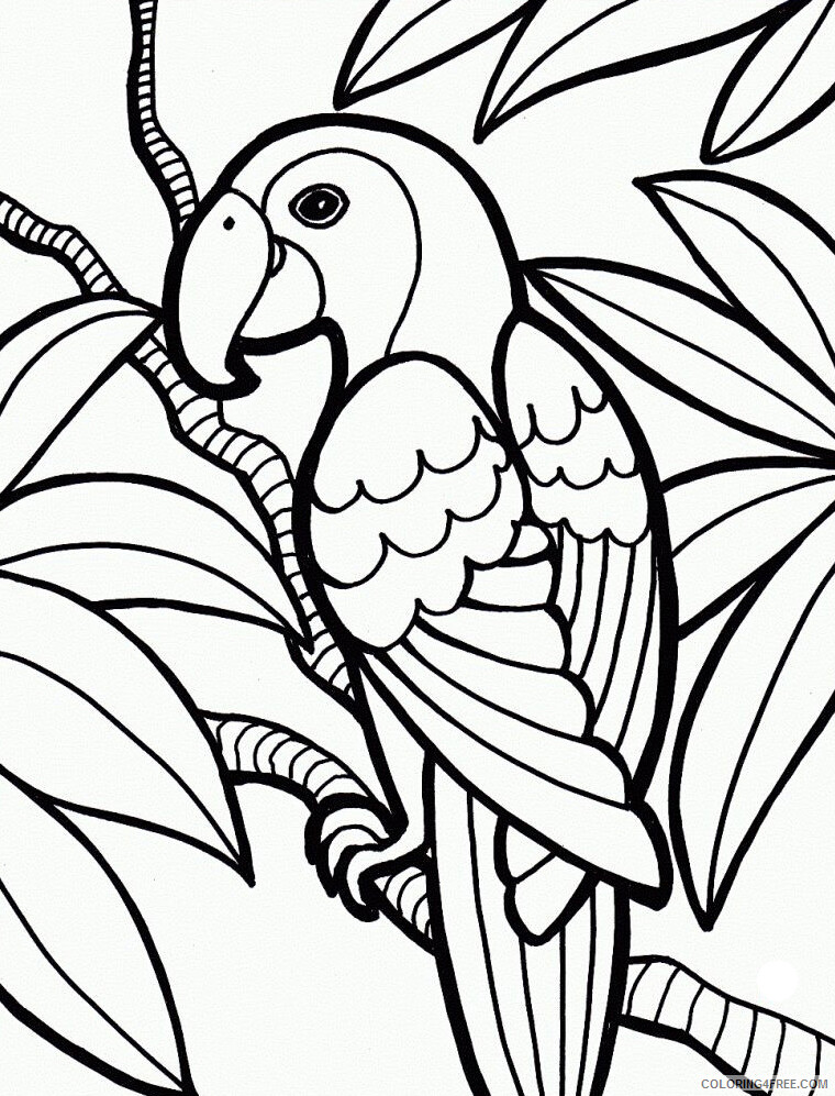 Parrot Coloring Pages Animal Printable Sheets Parrot Jungle 2021 3733 Coloring4free
