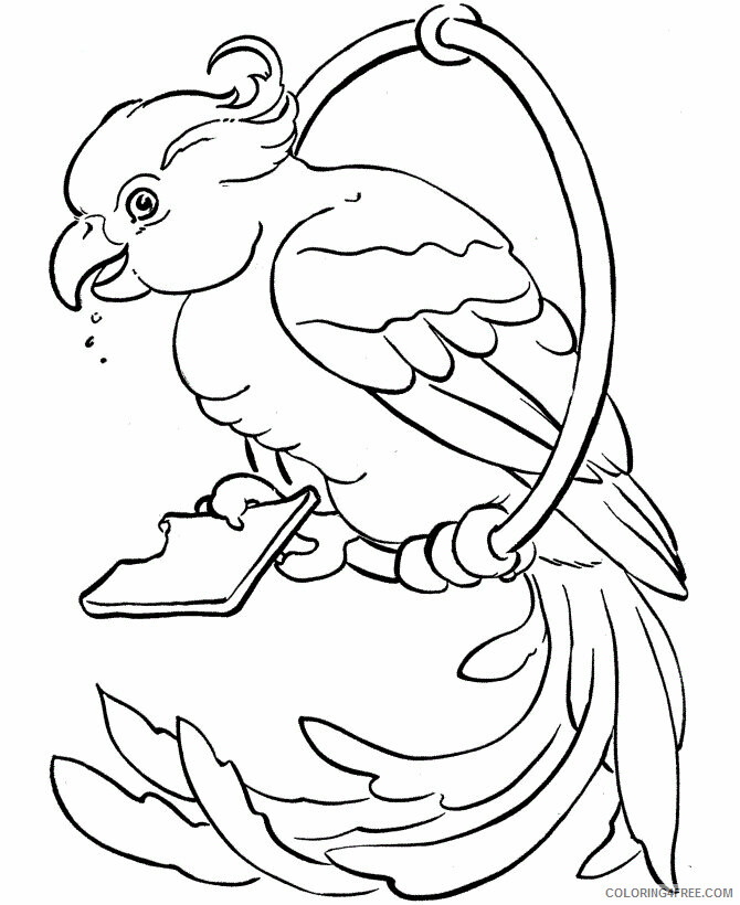 Parrot Coloring Pages Animal Printable Sheets Parrot Pictures 2021 3731 Coloring4free