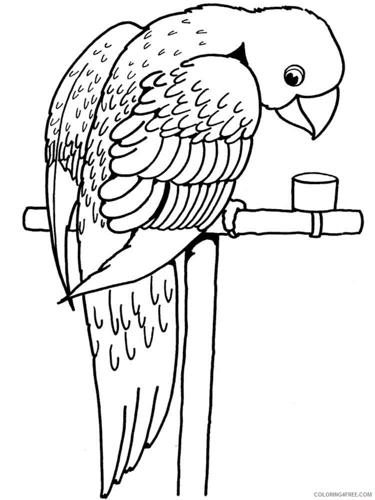Parrot Coloring Pages Animal Printable Sheets animals parrot 15 2021 3715 Coloring4free