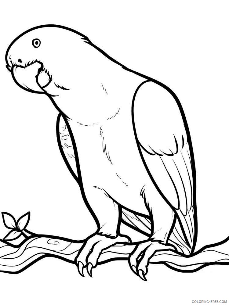 Parrot Coloring Pages Animal Printable Sheets animals parrot 4 2021 3716 Coloring4free