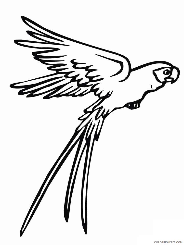 Parrot Coloring Pages Animal Printable Sheets animals parrot 5 2021 3717 Coloring4free