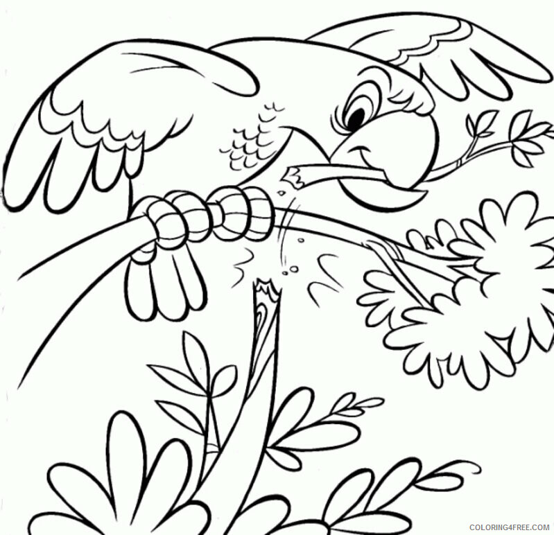 Parrot Coloring Sheets Animal Coloring Pages Printable 2021 3144 Coloring4free