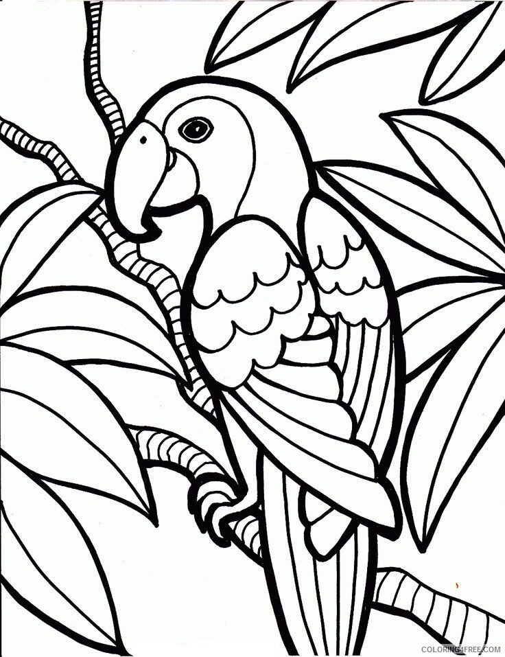Parrot Coloring Sheets Animal Coloring Pages Printable 2021 3145 Coloring4free