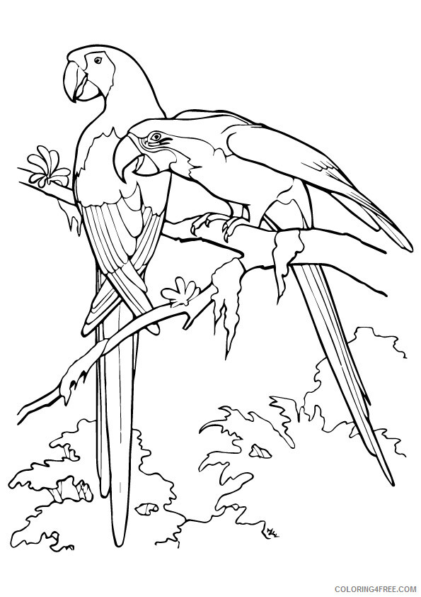 Parrot Coloring Sheets Animal Coloring Pages Printable 2021 3164 Coloring4free