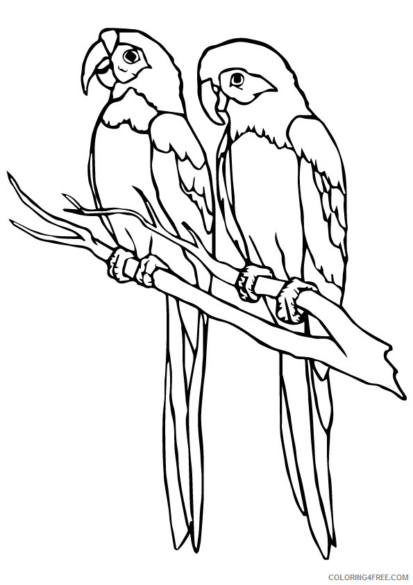 Parrot Coloring Sheets Animal Coloring Pages Printable 2021 3175 Coloring4free