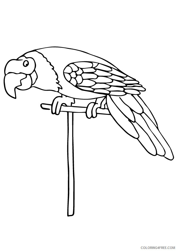 Parrot Coloring Sheets Animal Coloring Pages Printable 2021 3178 Coloring4free