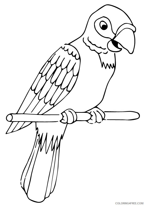Parrot Coloring Sheets Animal Coloring Pages Printable 2021 3181 Coloring4free