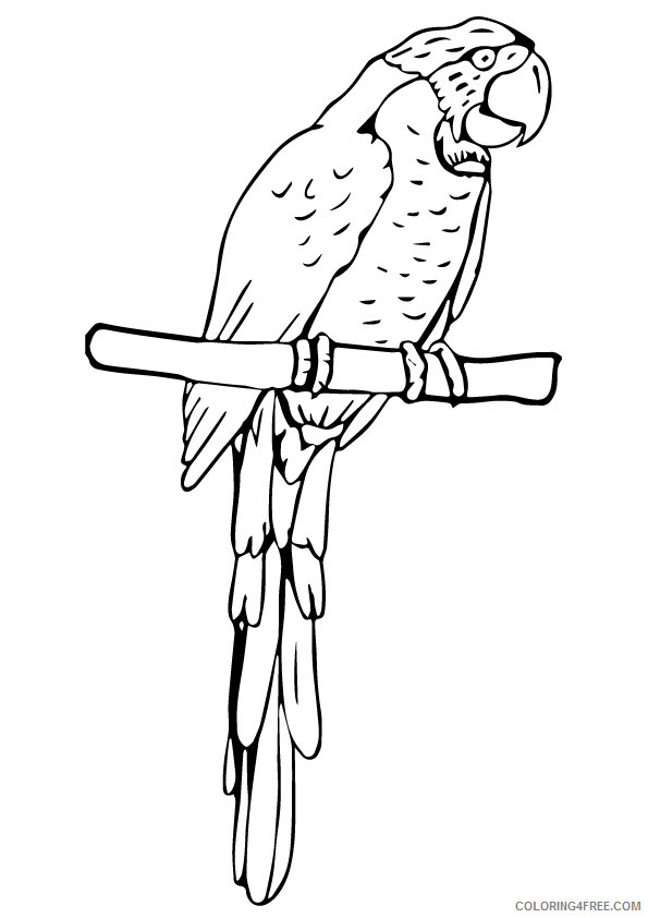 Parrot Coloring Sheets Animal Coloring Pages Printable 2021 3190 Coloring4free