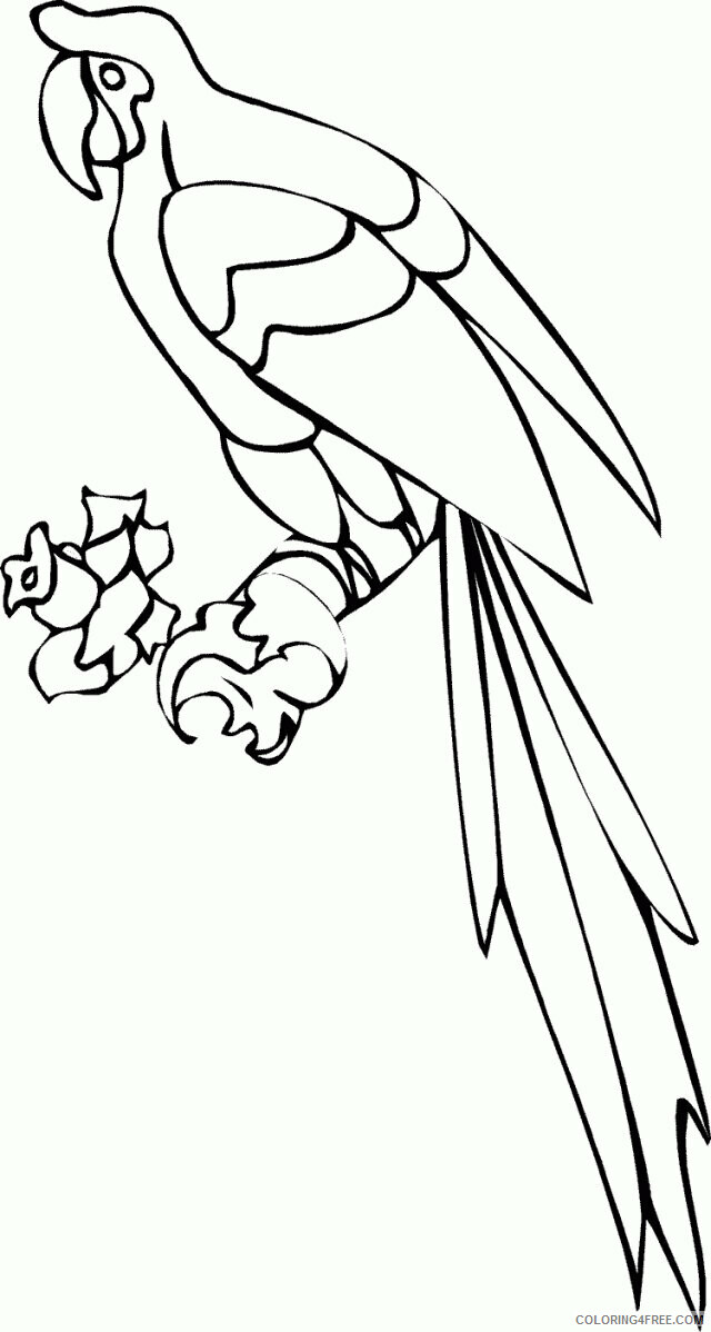 Parrot Coloring Sheets Animal Coloring Pages Printable 2021 3191 Coloring4free