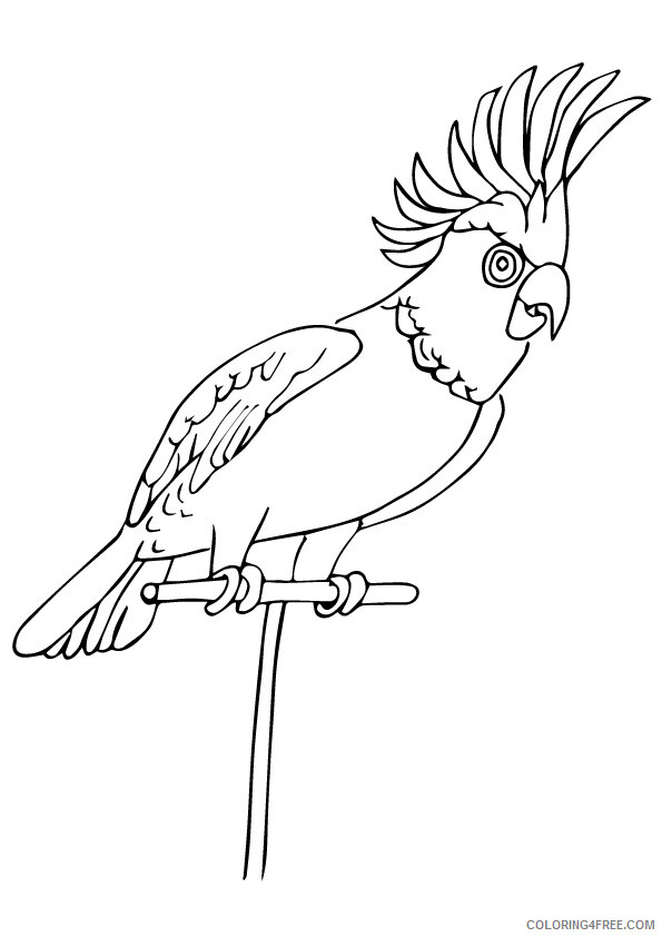 Parrot Coloring Sheets Animal Coloring Pages Printable 2021 3193 Coloring4free