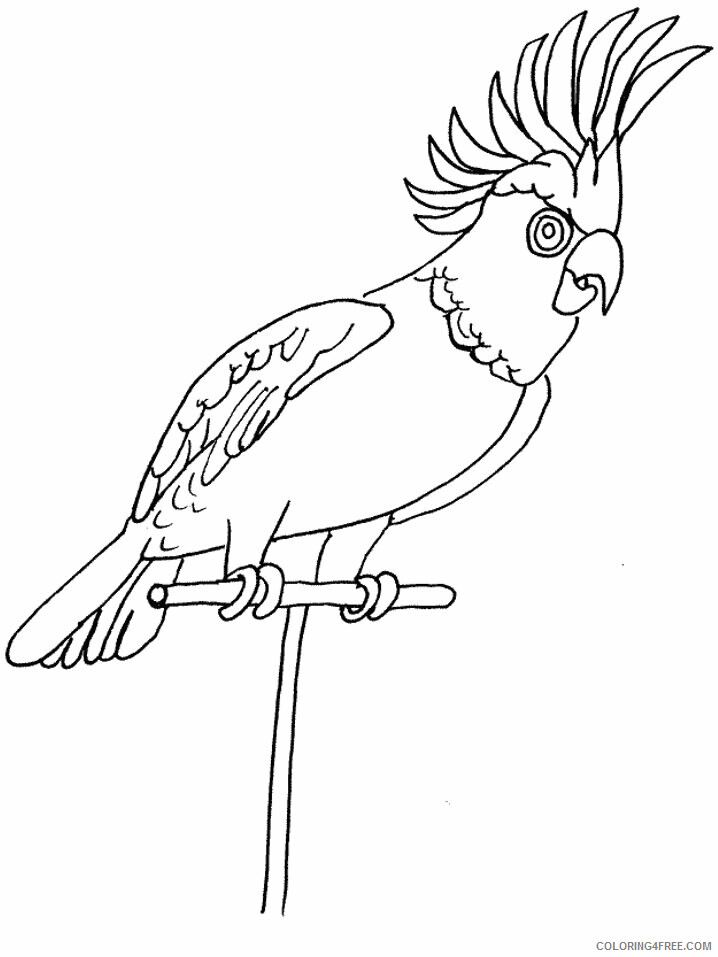 Parrot Coloring Sheets Animal Coloring Pages Printable 2021 3194 Coloring4free