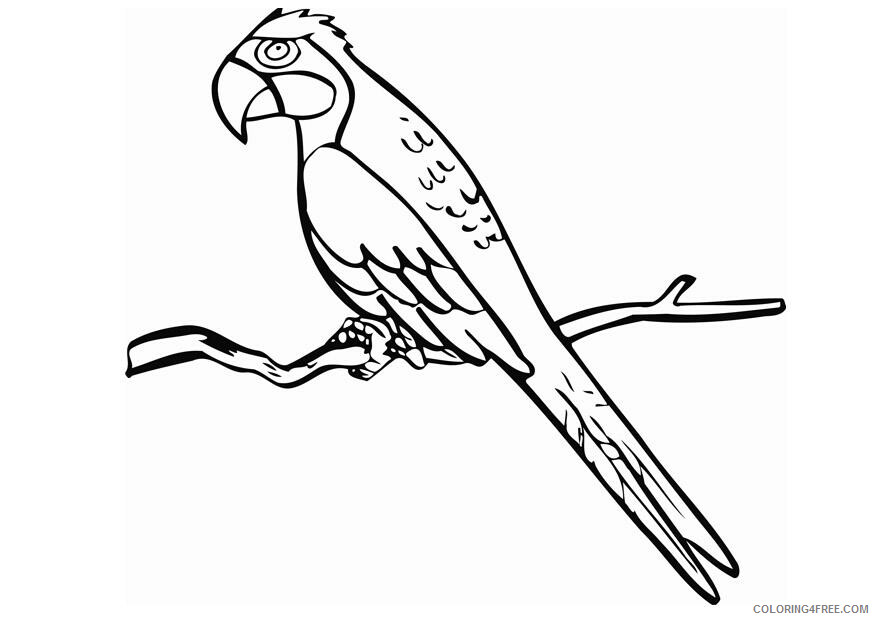 Parrot Coloring Sheets Animal Coloring Pages Printable 2021 3202 Coloring4free