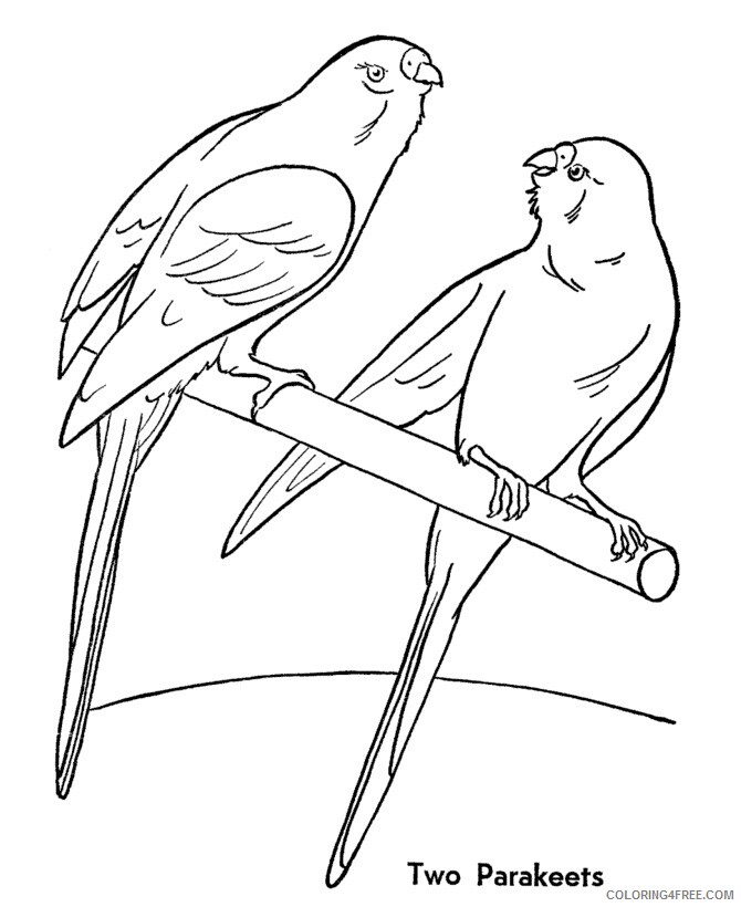 Parrot Coloring Sheets Animal Coloring Pages Printable 2021 3203 Coloring4free