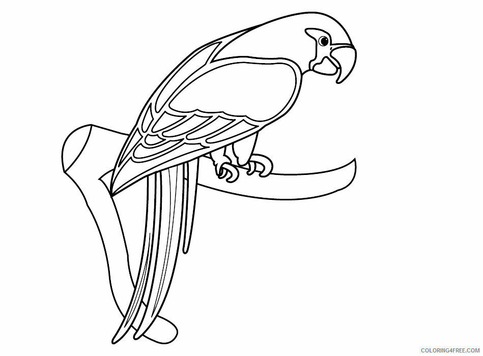 Parrot Coloring Sheets Animal Coloring Pages Printable 2021 3204 Coloring4free