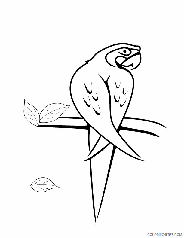 Parrot Coloring Sheets Animal Coloring Pages Printable 2021 3209 Coloring4free