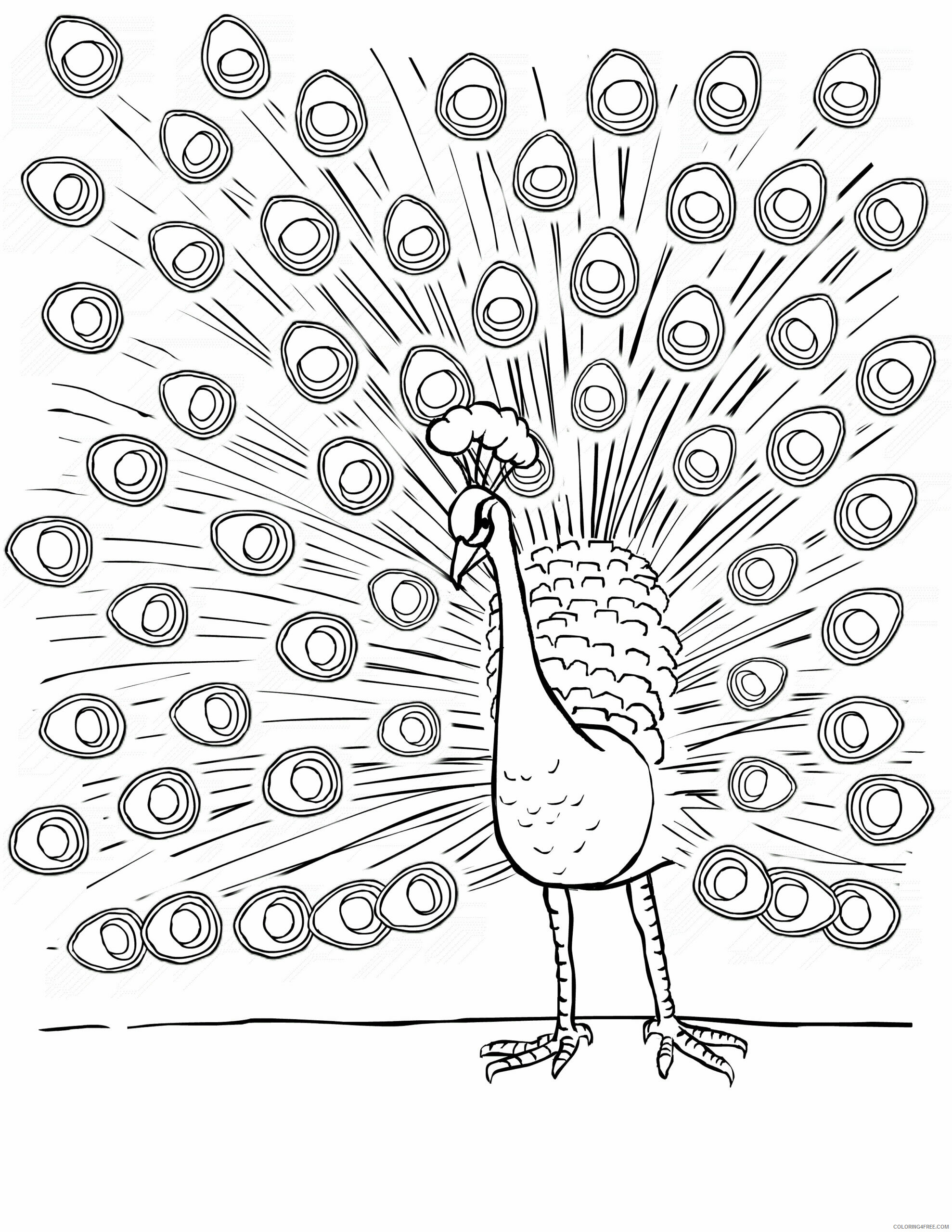 Peacock Coloring Pages Animal Printable Sheets Peacock For Kids 2 2021 3772 Coloring4free