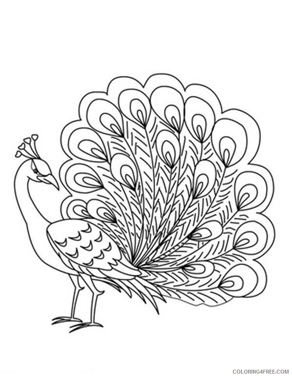 Peacock Coloring Pages Animal Printable Sheets Peacock Free 2021 3773 Coloring4free