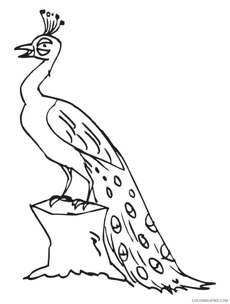 Peacock Coloring Pages Animal Printable Sheets Peacock Photos 2021 3770 Coloring4free
