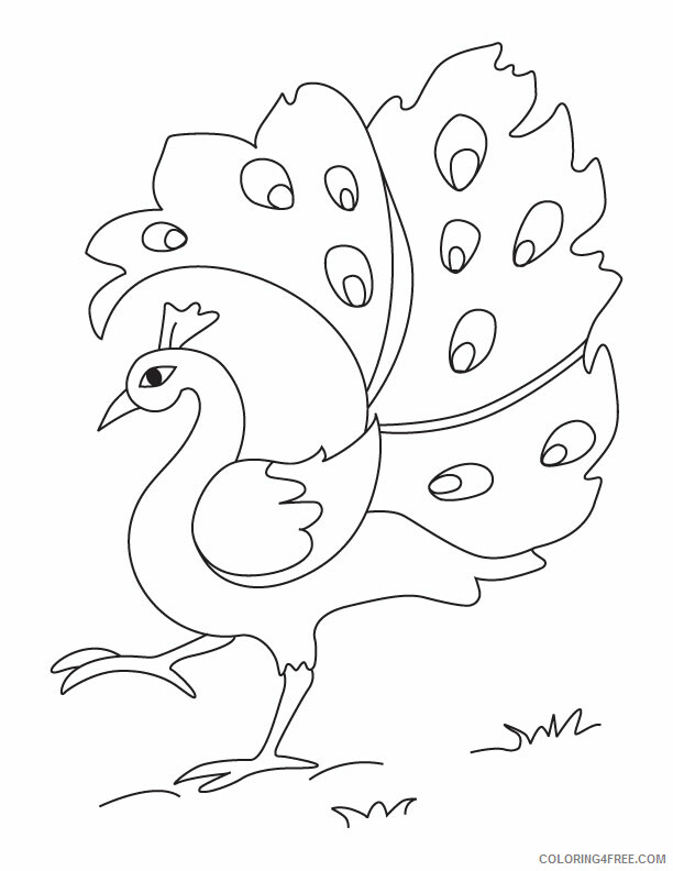Peacock Coloring Pages Animal Printable Sheets Peacock Pictures 2021 3775 Coloring4free