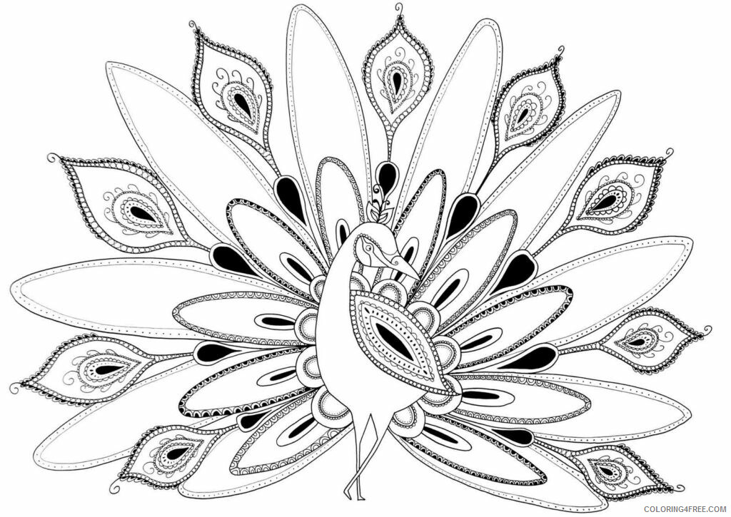 Peacock Coloring Pages Animal Printable Sheets Simple Peacock 2021 3787 Coloring4free